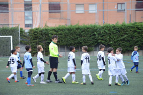 Benjamines