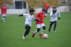 Benjamines
