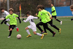 Alevín D