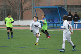 Alevín D