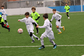 Alevín D