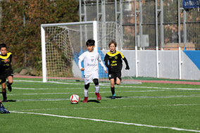 Alevines B y D