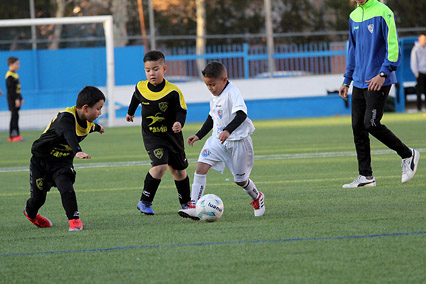EDM VII Torneo de Navidad F7 EDM VII Torneo de Navidad F7