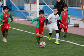 Prebenjamines