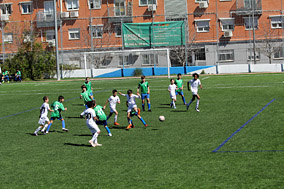 Alevín E