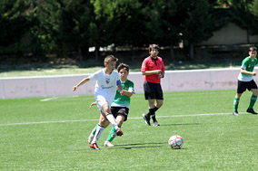 Infantil D