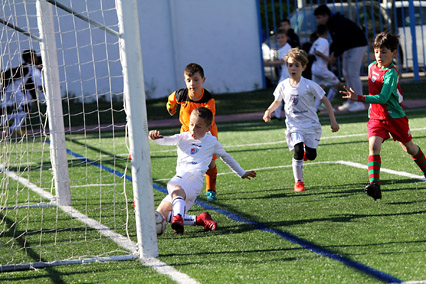 Prebenjamines