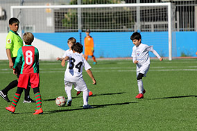 Prebenjamines
