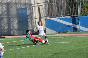 Prebenjamines