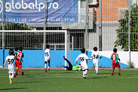 Prebenjamines