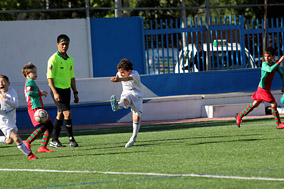 Prebenjamines