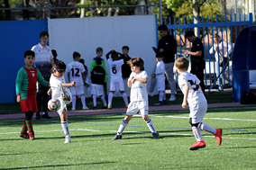 Prebenjamines