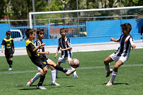 Alevines—Torneo Memorial Pedro Blázquez