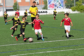 Prebenjamines