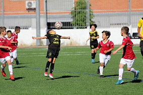 Prebenjamines
