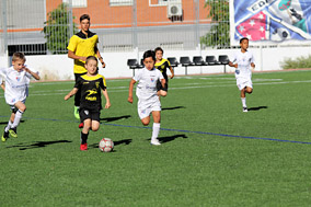 Prebenjamines