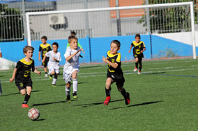 Prebenjamines