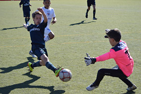 Benjamines
