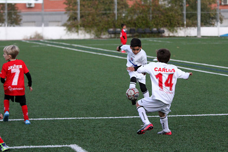 Prebenjamines