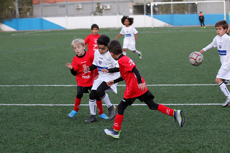 Prebenjamines