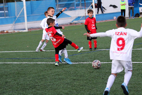 Prebenjamines