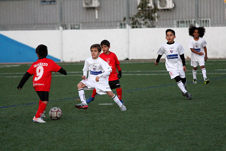 Prebenjamines