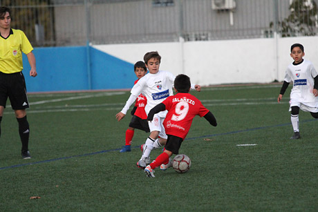 Prebenjamines
