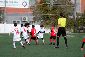 Prebenjamines