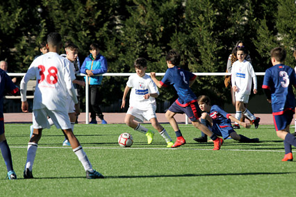 Infantil D