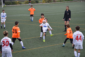 Alevín C