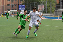 Juveniles
